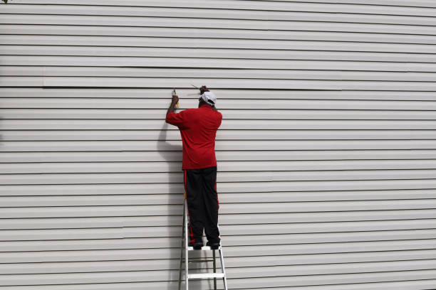 Best Aluminum Siding Installation  in Leisure Knoll, NJ